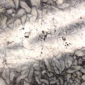 Pinolite Plaque 2331