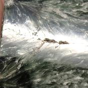 Seraphinite Plaque 2359