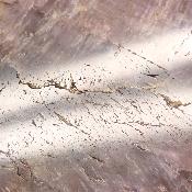 Super Seven Plaque 2361