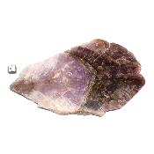 Super Seven Plaque 2368