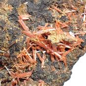 Crocoïte pierre brute 2406