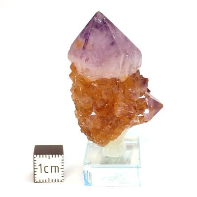 Cristal Cactus Brute 2728