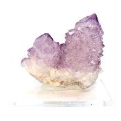 Cristal Cactus Brute 2729