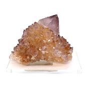 Cristal Cactus avec Citrine Brute 2734