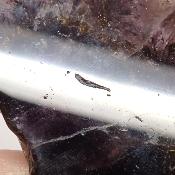 Auralite 23 Plaque 2755