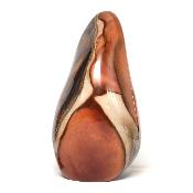 Jaspe Polychrome Forme Libre 0070