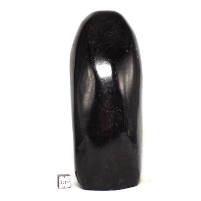 Tourmaline Noire Forme Libre 0082