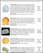 Catalogue Minérales do Brasil 2024