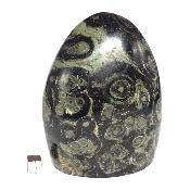 Jaspe Kimbaba Formes libres 04961