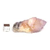Cristal Cactus Pierre Brute 05400