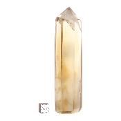 Citrine Pointe Unique Polie n° 05936