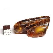 Ambre de la Baltique morceau poli n° 05952