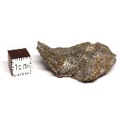 Météorite Sidérite Sikhote-Alin 15175