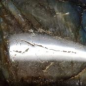 Labradorite Forme Libre 15374