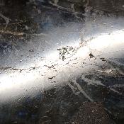 Labradorite Forme Libre 15499