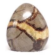 Septaria Forme Libre 15685