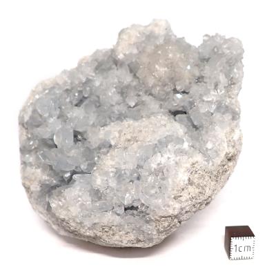 Célestine Pierre brute 15729