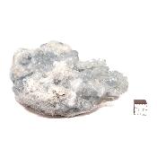 Célestine Pierre brute 15736