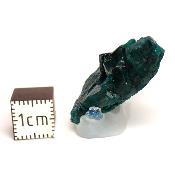 Dioptase Pierre Brute 15827