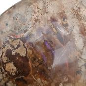 Ammonite Clinoviceras Nacrée Sciée Paire 20335
