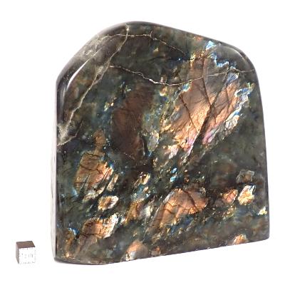 Labradorite Forme Libre 2034