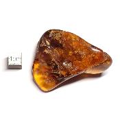 Ambre de la Baltique morceau poli 2035