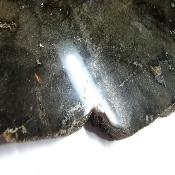 Plaque en Labradorite 20408