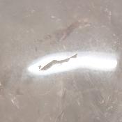 Cristal de Roche Crâne 2158