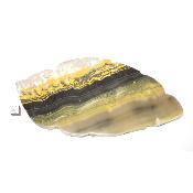 Jaspe Abeille Plaque 2276