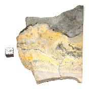 Jaspe Abeille Plaque 2279