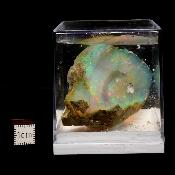 Opale d'Ethiopie Pierre Brute 2286