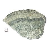 Seraphinite Plaque 2358