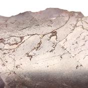 Super Seven Plaque 2362