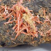 Crocoïte pierre brute 2406