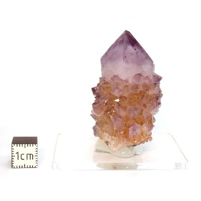 Cristal Cactus Brute 2733