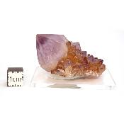 Cristal Cactus Brute 2735