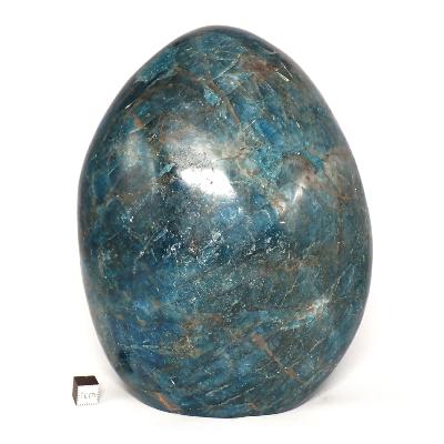 Apatite Bleue Forme Libre 04831