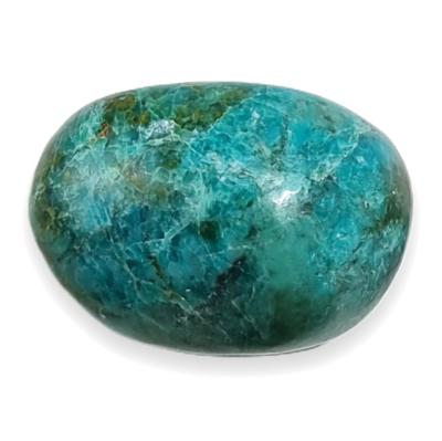 Chrysocolle