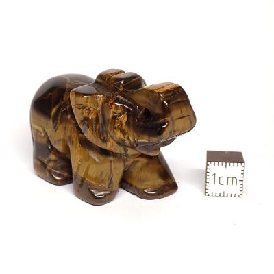 Eléphant