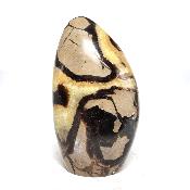 Septaria Forme Libre 08364