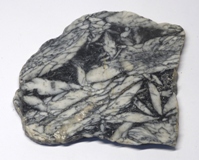 Pinolite Plaque - Numrotes