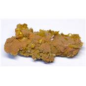 Wulfenite Pierre Brute 12361