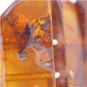 Ambre de la Baltique Bracelet 13316