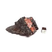 Rhodocrosite pierre brute n° 14894