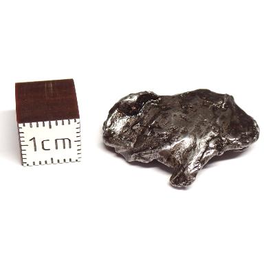 Météorite Sidérite Sikhote-Alin 15163