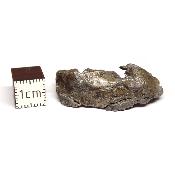 Météorite Sidérite Sikhote-Alin 15172