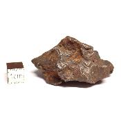 Météorite Sidérite Sikhote-Alin 15182
