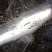 Labradorite Forme Libre 15381