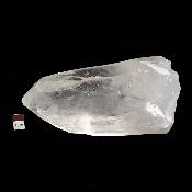 Cristal Lémurien 15461