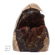 Septaria Forme Libre 15697